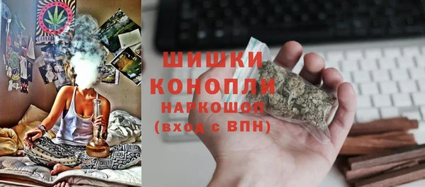 прущие крисы Новозыбков