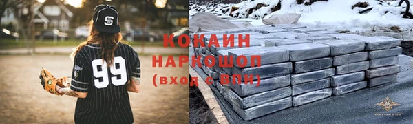 прущие крисы Новозыбков