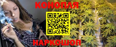 крисы Апрелевка