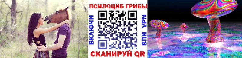 цена наркотик  маркетплейс формула  Псилоцибиновые грибы Psilocybine cubensis  Богородск  mega зеркало 