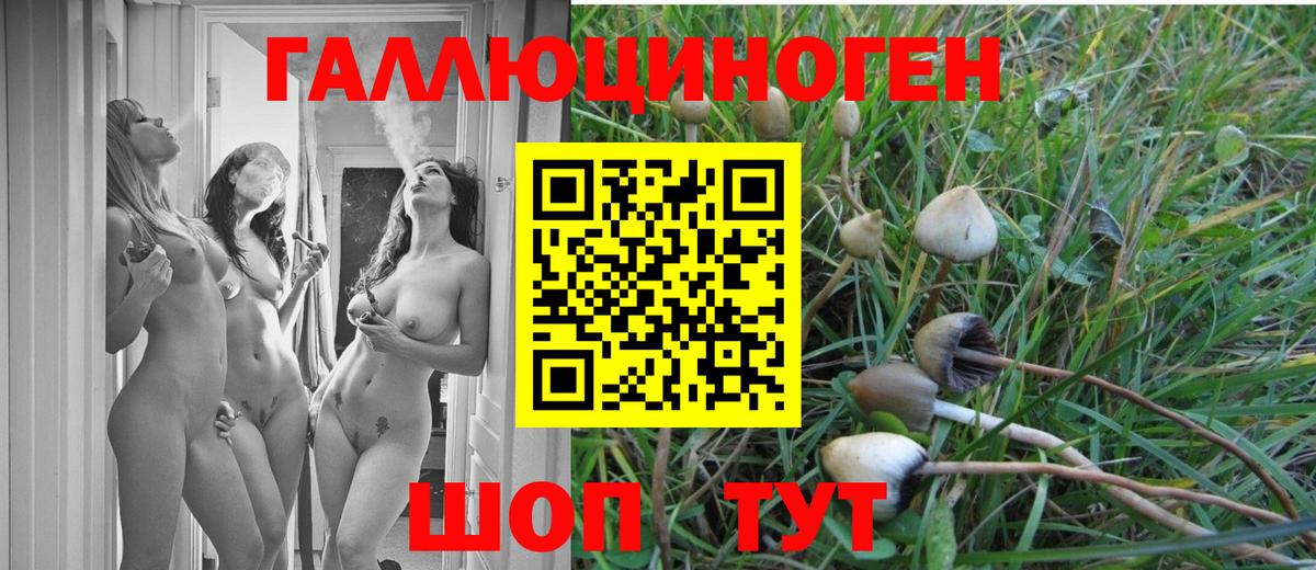 Галлюциногенные грибы Magic Shrooms Богородск