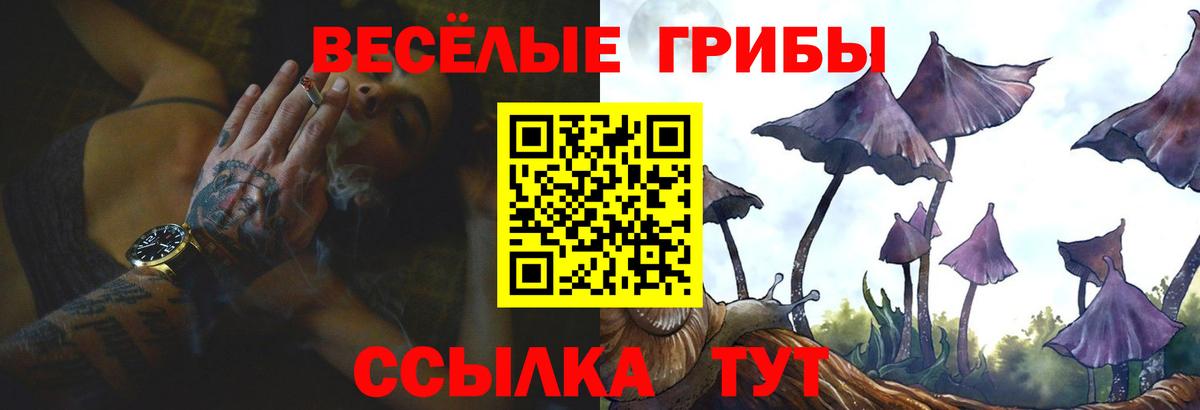 Галлюциногенные грибы Psilocybe  Вход с VPN  купить наркотики цена  Богородск 